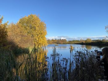 Plants by lake against sky during autumn