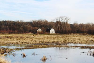 Scenic view of landscape against sky