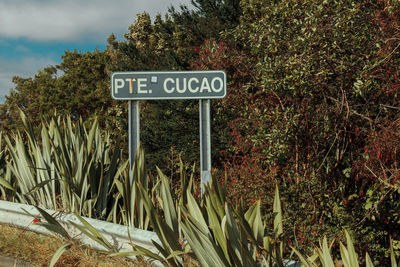 Information sign by plants