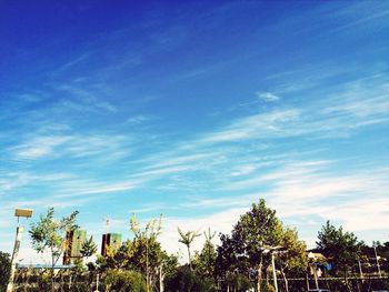 Low angle view of palm trees against blue sky