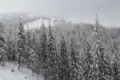 Scenic view of snow covered land against sky