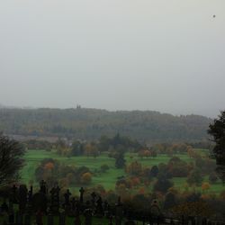 Scenic view of landscape against clear sky