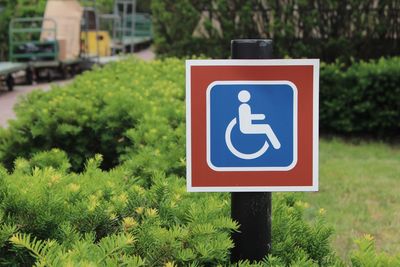 Close-up of disabled sign by plants