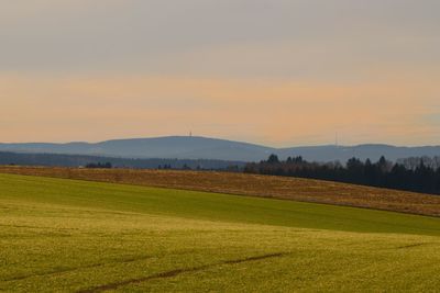 Scenic view of field against sky during sunset