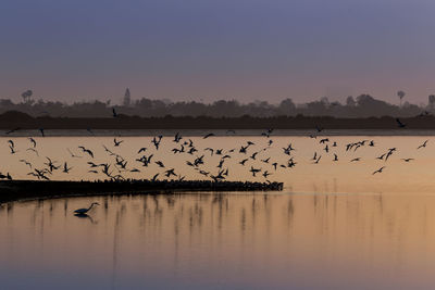 Scenic view of lake at sunset