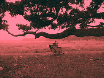 Silhouette tree on field against sky