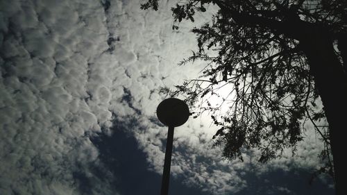 Low angle view of silhouette tree against sky