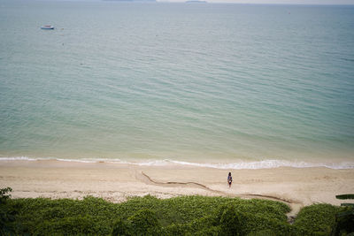 Scenic view of beach