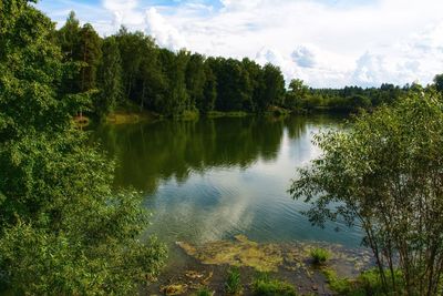 Scenic view of lake in forest against sky