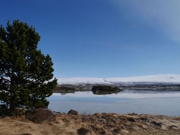 Scenic view of sea against clear sky