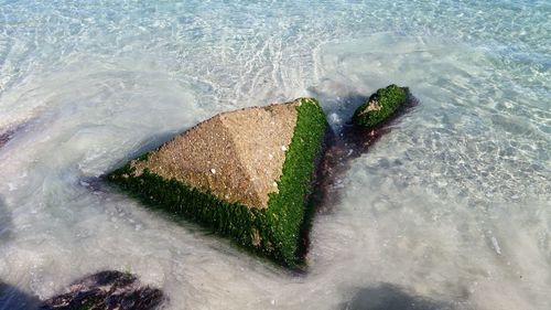 High angle view of water flowing through rocks