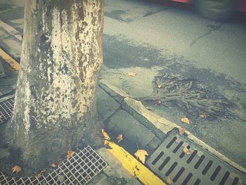 High angle view of road by trees in city