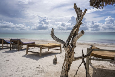 View of driftwood on beach