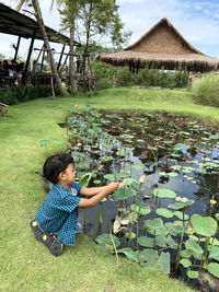 Boy by lotus flower in pond