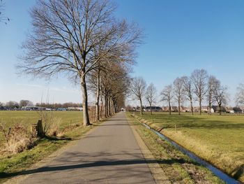 Bare trees on field against clear sky