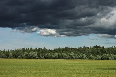 Scenic view of field against sky