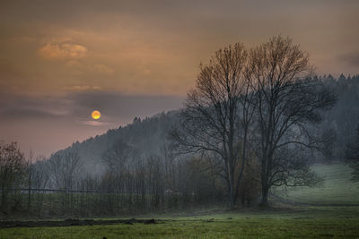 Bare trees on field against sky during sunset