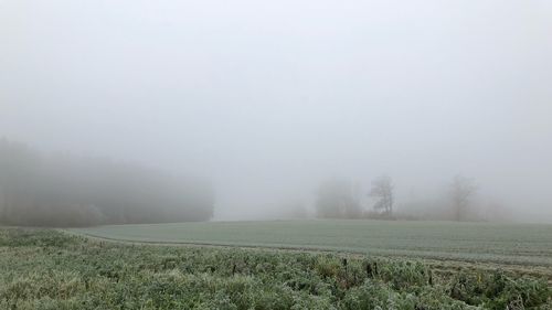 Scenic view of field against sky during foggy weather