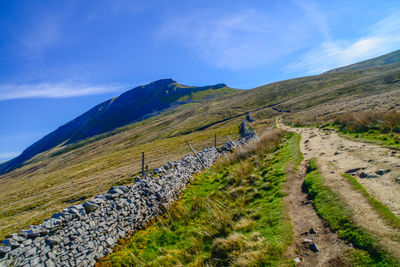 Scenic view of road amidst field against sky