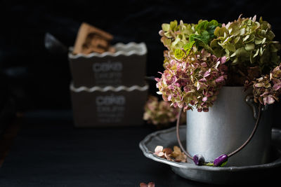 Hydrangeas in container on plate over table