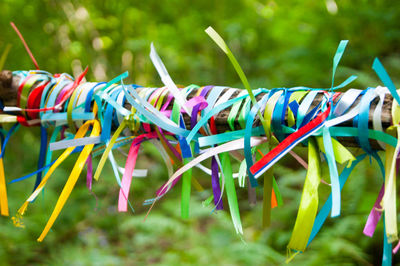 Close-up of multi colored clothespins hanging on rope