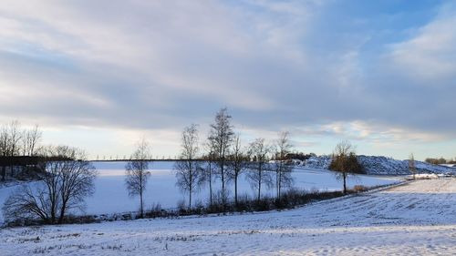 Bare trees on snow field against sky