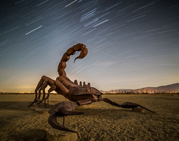 Statue on beach against sky at night