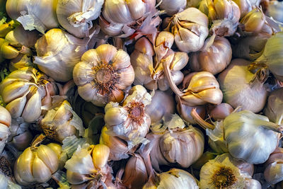 Fresh garlic on market table