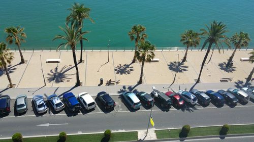 High angle view of palm trees on beach