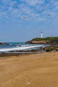 sea