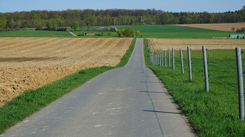 Scenic view of agricultural field