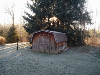 View of house and trees