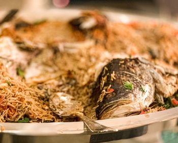 High angle view of dead fish in container