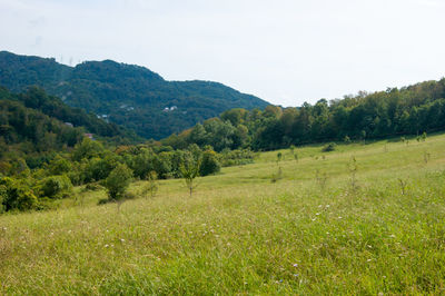 Scenic view of landscape against sky
