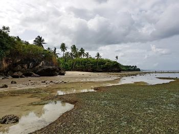 Scenic view of beach against sky