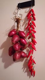 Close-up of tomatoes hanging over red background