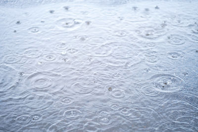 Circles and raindrops on the puddle.