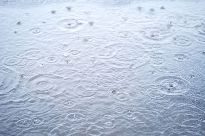 Circles and raindrops on the puddle.