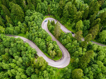 High angle view of road amidst trees in forest