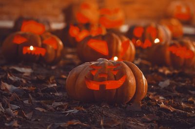 Close-up of pumpkin on autumn leaves