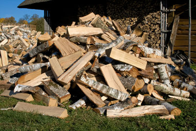 Pile and wall of cut birch wood and stacked wood logs ready for winter, standing on the grass