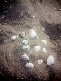 High angle view of sand on beach