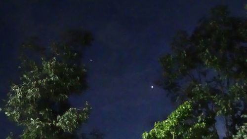 Low angle view of trees against sky