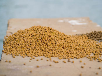 Close-up of bread