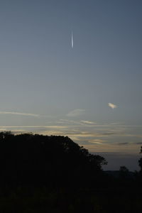 Silhouette trees against sky during sunset