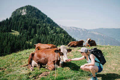 Cows on field against sky