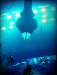 Illuminated people in aquarium