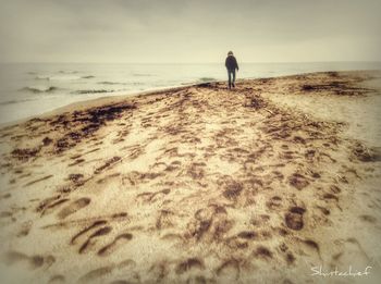 Rear view of man on beach