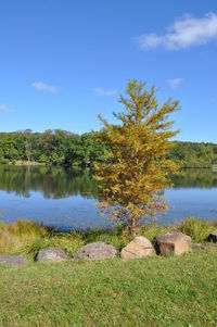 Scenic view of lake against sky