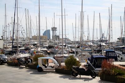 Sailboats moored at harbor